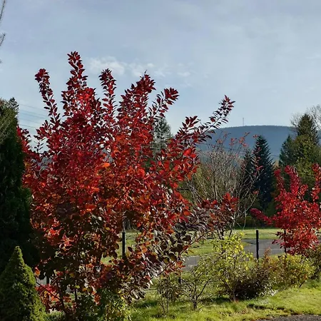 Prázdninový dům Mugo Świeradów-Zdrój