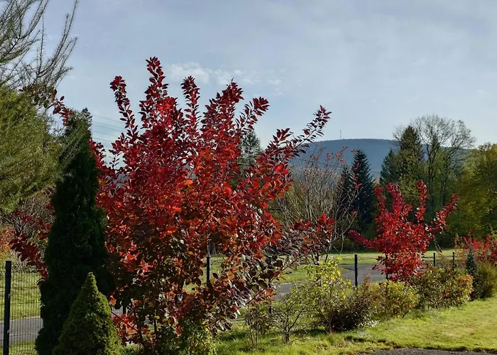 Casa de Férias Mugo świeradów-zdrój Świeradów-Zdrój